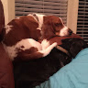 Meet your Posher, Gwen